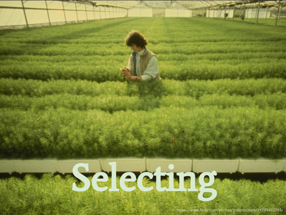 Selecting